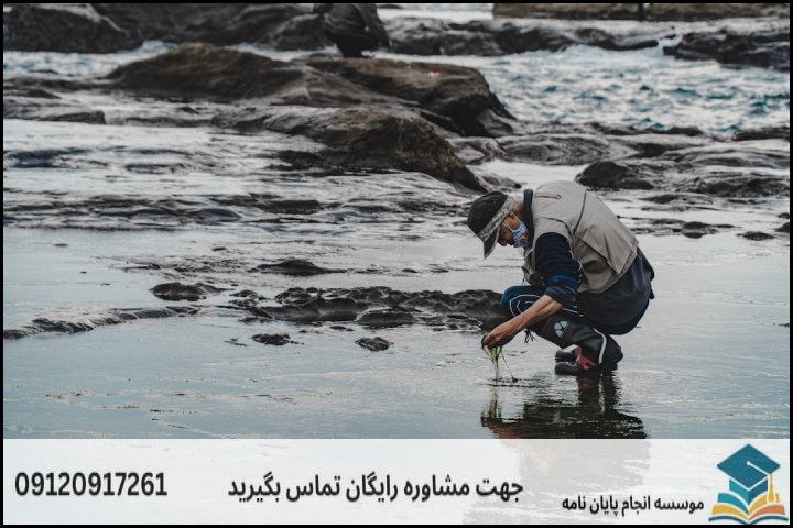 گامهای عملی انجام پایاننامه و تاثیر آن بر بودجهبندی