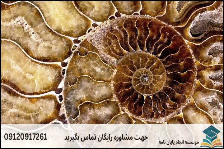 هزینه و قیمت انجام پایان نامه رشته چینه نگاری و دیرینه شناسی