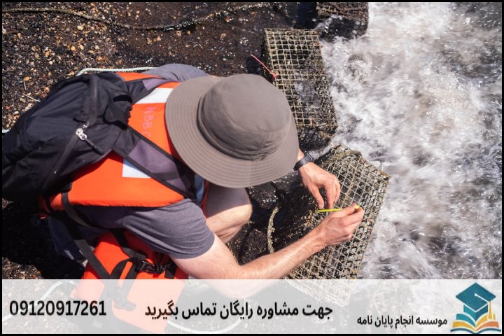عوامل کلیدی و تعیینکننده در قیمتگذاری