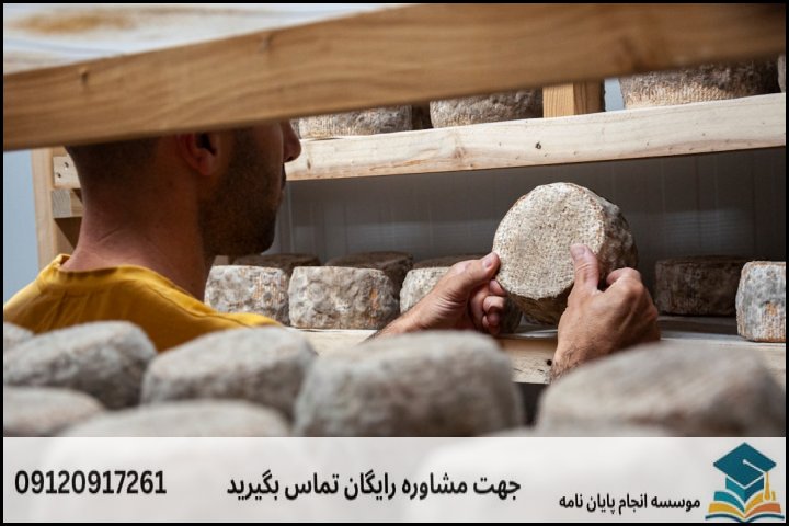 مراحل حیاتی انجام پایاننامه زمینشناسی نفت و سهم هزینه هر مرحله