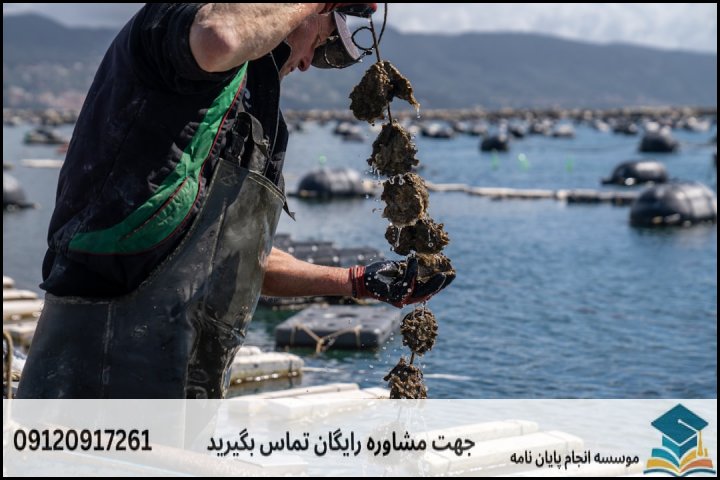 عوامل اصلی تعیین‌کننده قیمت در گرایش کانی‌ها و سنگ‌های صنعتی