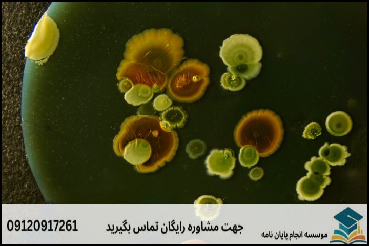 تفکیک هزینههای مواد مصرفی و تستهای آزمایشگاهی