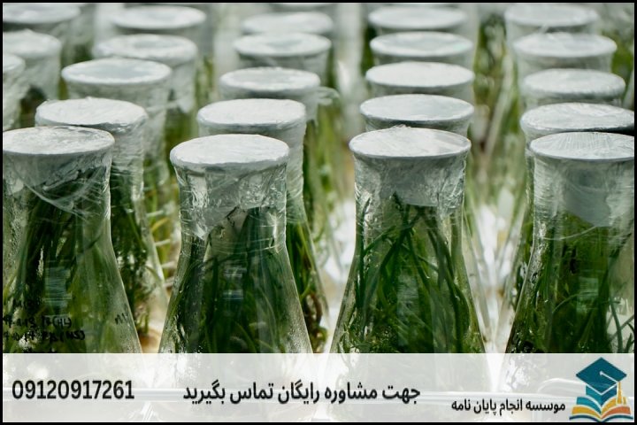 هزینه و قیمت انجام پایان نامه رشته بیوسیستماتیک و بوم شناسی