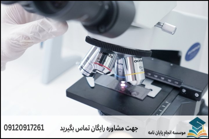 جدول برآورد هزینهها و مراحل پژوهش