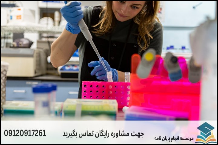 عوامل اصلی تعیینکننده قیمت پایاننامه زیست فناوری میکروبی