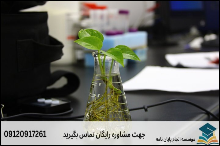 عوامل اصلی تعیینکننده هزینه پایان نامه زیست شناسی گیاهی