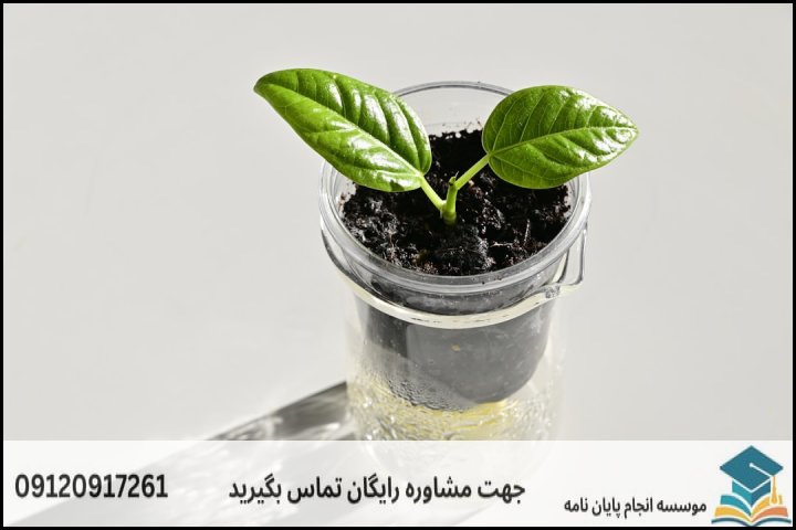 عوامل تعیینکننده هزینه پایان نامه زیست شناسی گیاهی سلولی و تکوینی