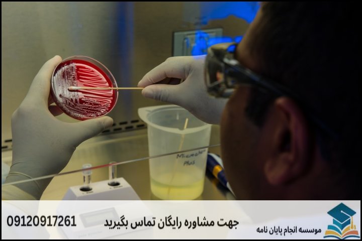 مراحل عملی مدیریت و کاهش هزینههای پژوهش میکروبیولوژی