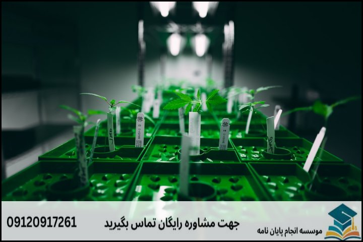 حدود قیمت و محاسبه هزینه کلی پایان نامه زیست شناسی گیاهی فیزیولوژی چقدر است؟