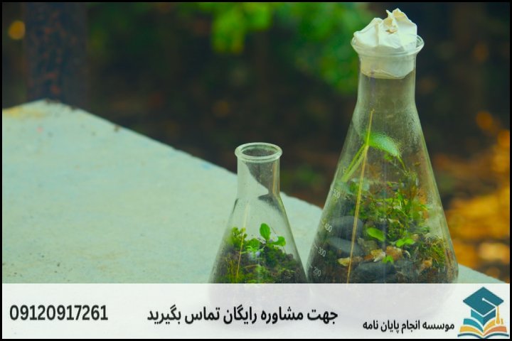 عوامل کلیدی تعیین‌کننده قیمت و هزینه پایان‌نامه زیست‌شناسی گیاهی