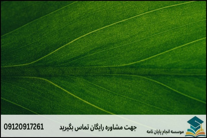 هزینه و قیمت انجام پایان نامه رشته نانوبیوممتیک (نانوزیست الهام)