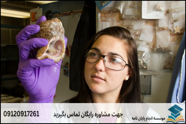 هزینه و قیمت انجام پایان نامه رشته مهندسی معدن گرایش مکانیک سنگ